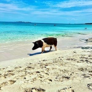 Meet your Posher, Jill